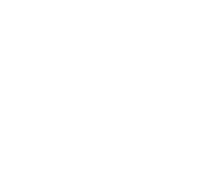 Rail Ratz